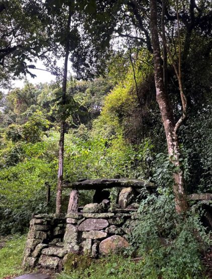 SACRED FOREST IN LIVANDA